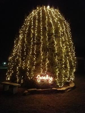 Holiday tree with lights spelling out "Jacky"